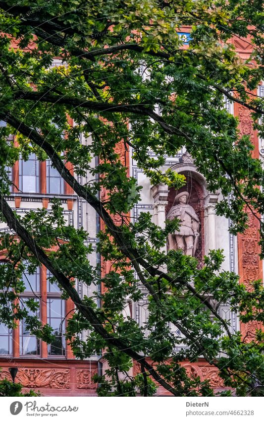 transparency Rostock university Historic Tree Facade Architecture Statue