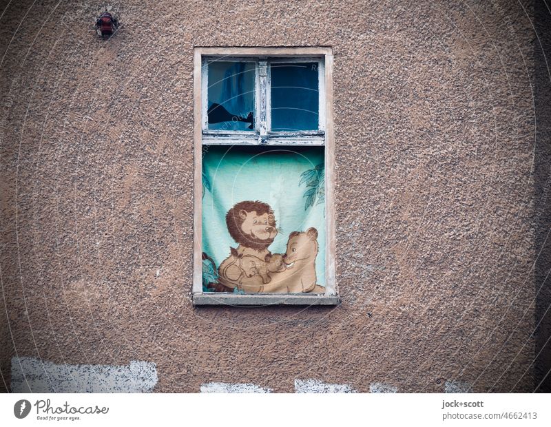 Animal love - instead of abandoned and lapsed Window lost places Derelict Ruin Change Transience Blanket Screening motif Animal family Lion Love Decoration
