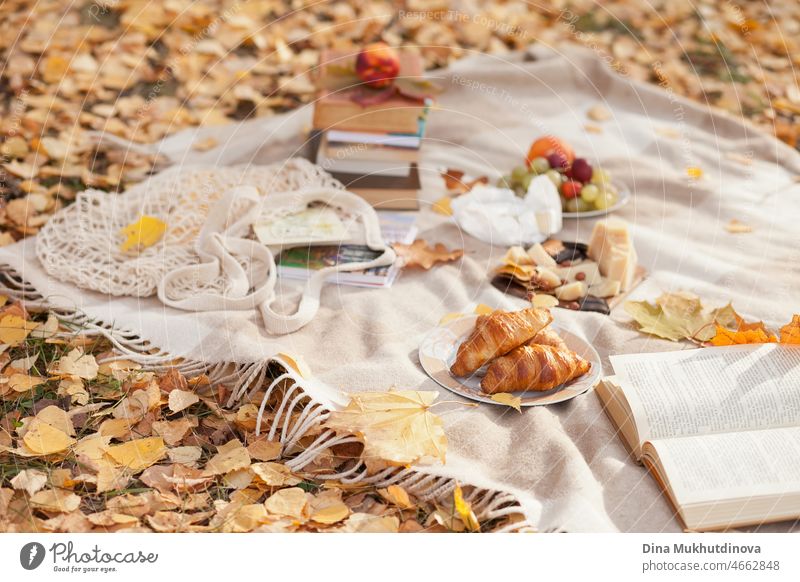 Romantic picnic in autumn park with books for reading and food - croissants, cheese, nuts, fruit on the plate. Having picnic in nature outdoors on a sunny autumn day on fall leaves.