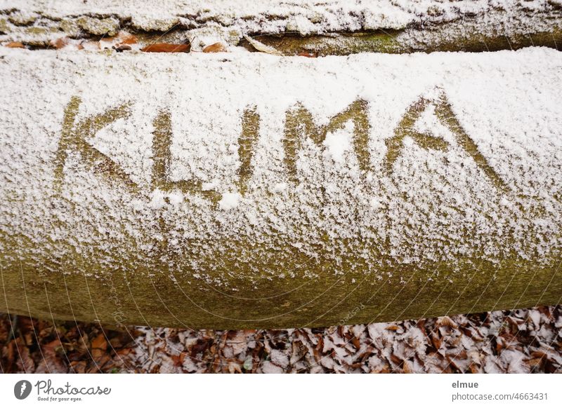 CLIMATE is written with a finger on a snowy tree trunk lying on the ground / winter Climate Winter Snow Tree trunk Climate change writing Forest Forest death