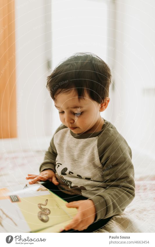 Cute boy reading a book Boy (child) Child Caucasian Portrait photograph Reading Book Infancy Joy Lifestyle kid young Human being Beautiful people Happy