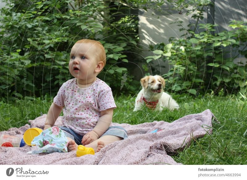 Toddler on blanket in garden with dog in background Baby Dog Garden Nature Blanket inquisitorial curious look observantly attention out Observe Curiosity Animal