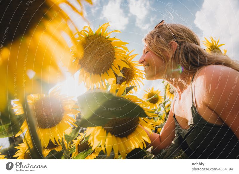 young woman in sunflower field in sunshine Young woman Blonde Sunflower field Back-light flare sniff flora fragrances Yellow Green Smiling Nature Agriculture