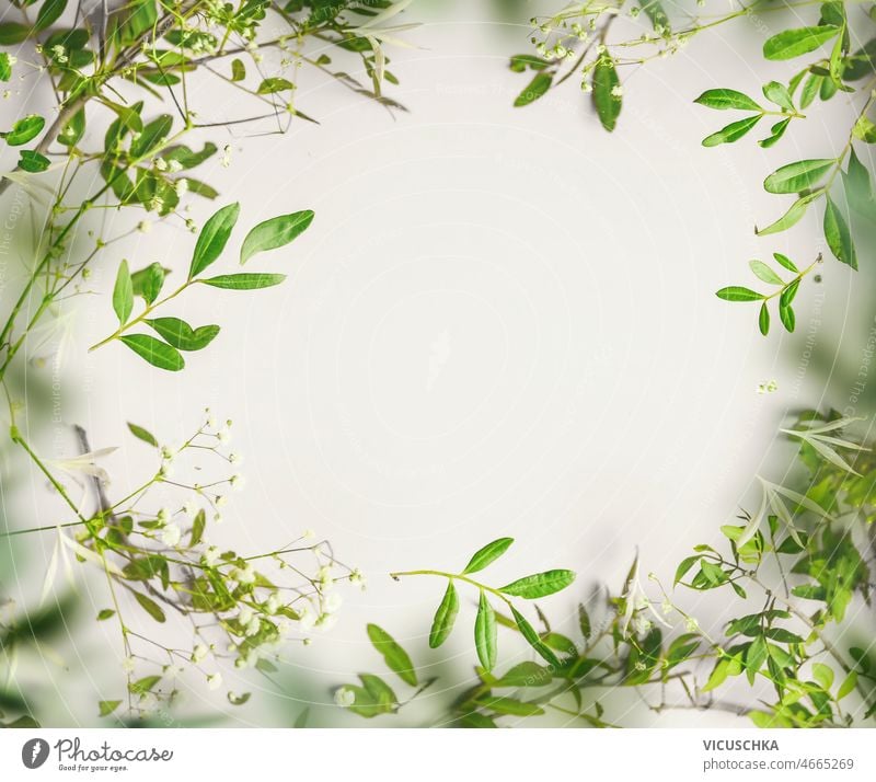 Green leaves frame with blurred background and natural light. nature springtime green botanical nature background copy space card circle circle shape decoration