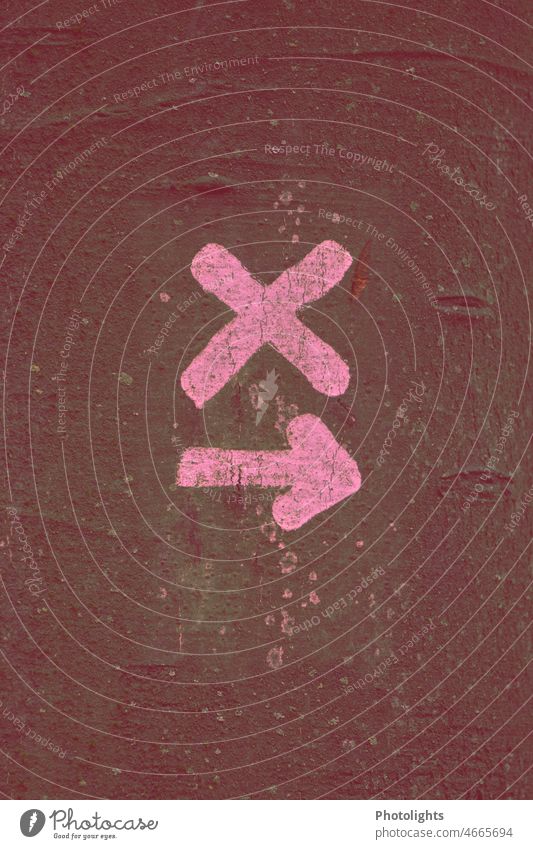 Pink cross and below an arrow pointing to the right on a tree trunk. Crucifix Arrow Right Tree trunk pink mark Forest Nature Sign Exterior shot Deserted