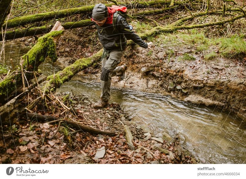 Stream crossing in forest Day Calm Water Exterior shot jump Banks of a brook Brook Hiking Jump trees forest bath Colour photo Green Forest Tree Nature