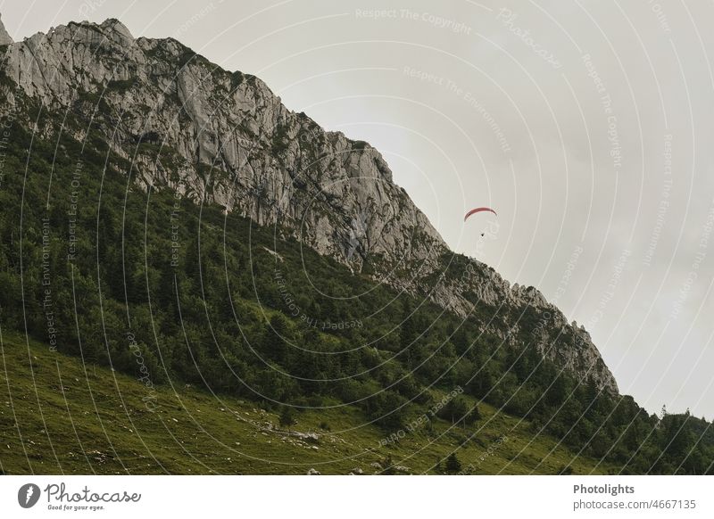 Paraglider in front of mountain massif in Chiemgau Alps Summer Flying mountains Mountain Paragliding Sports Sky Exterior shot Freedom Air Leisure and hobbies