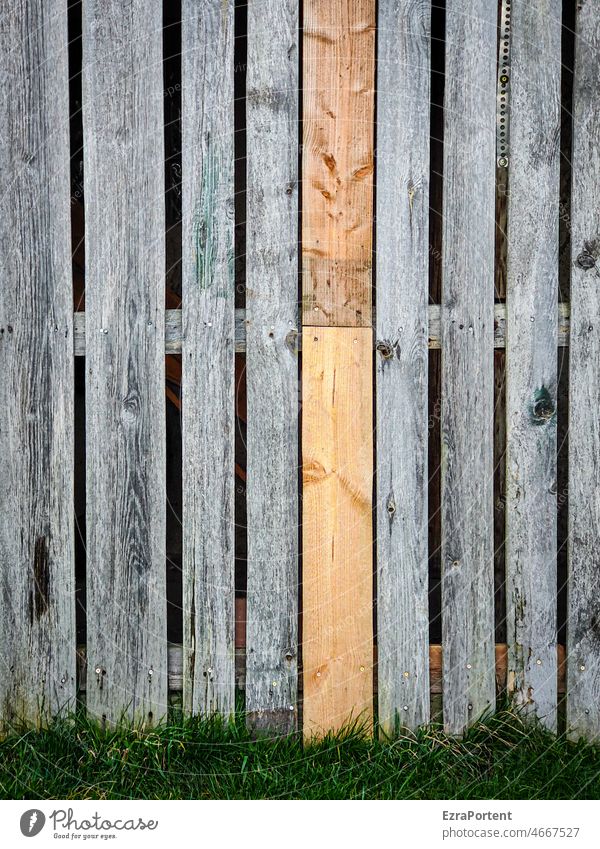 To look through the gap boards Flake Wall (building) Old New youthful Wood Gap Spacing Gray Grass Hiding place