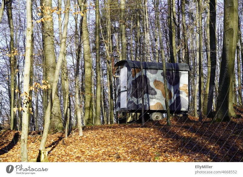 Camouflaged forestry truck in the forest. Forestry operation. Nature trees Environment Landscape Calm refuge Site trailer camouflage disguised Carriage Winter