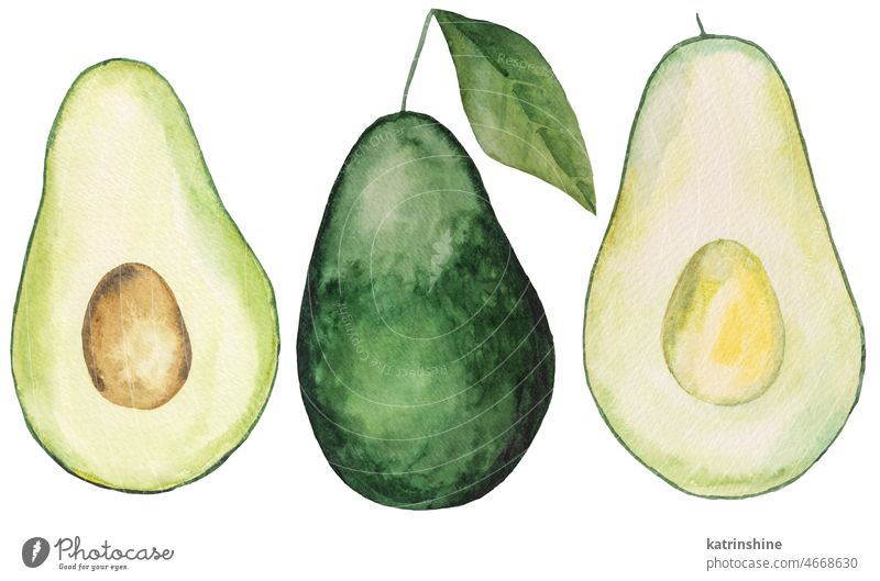 Watercolor green juicy avocado. Whole and half an avocado, tropical fruit illustration Botanical Cut Decoration Element Exotic Hand drawn Healthy Ingredient