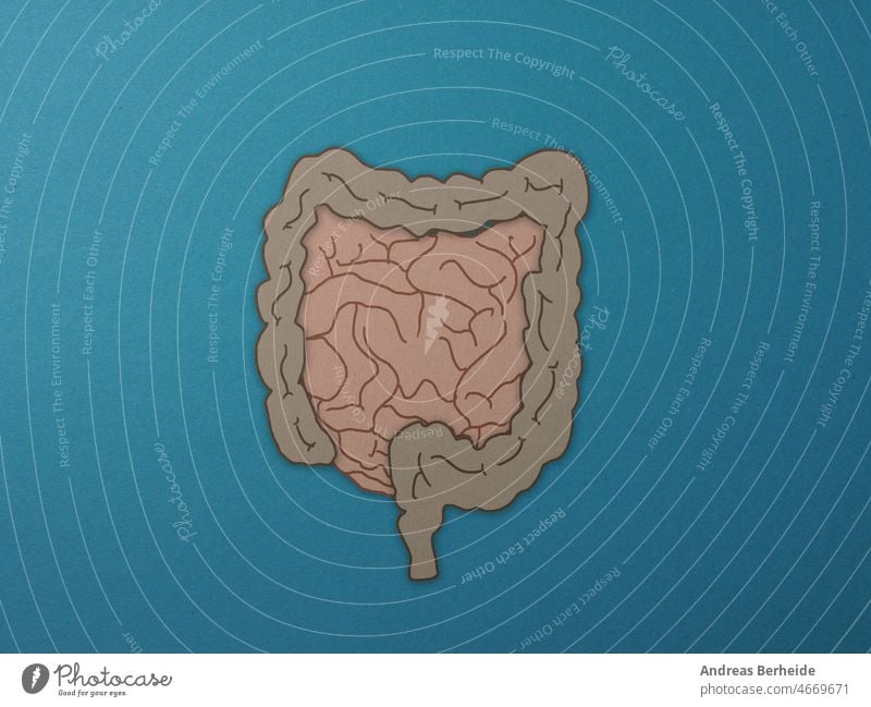 Intestinal tract as paper illustration on blue background health care concept cut scientific complex eat healthcare illustrative healthy intestinal organ