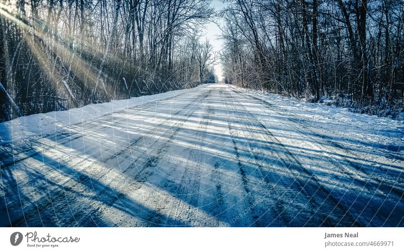 Snow covered road with sun coming through the trees sunshine direction diminishing perspective natural street polar frost day background snow woodland shadows