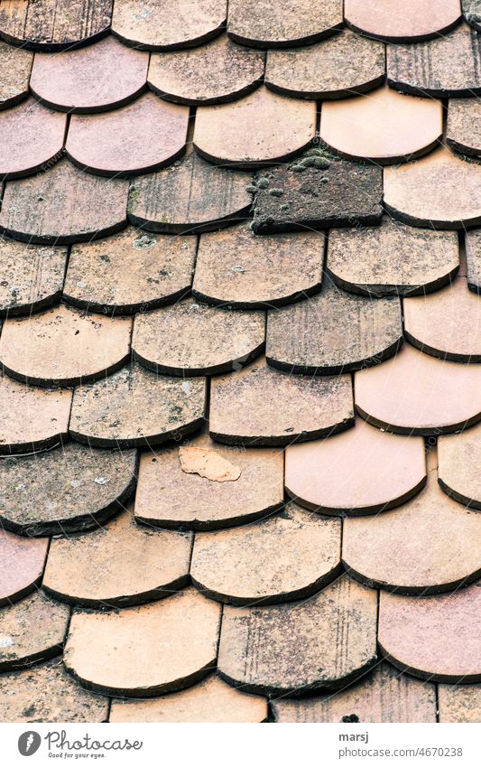 Plain tile in various antique and modern designs. Old Roof differently House (Residential Structure) Headstrong safeguarded Rustic Protective coating Weathered