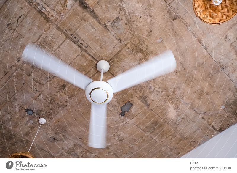 White fan rotates on the ceiling Fan Blanket ceiling ventilator Cooling vacation Summer Vacation & Travel ardor Rotate