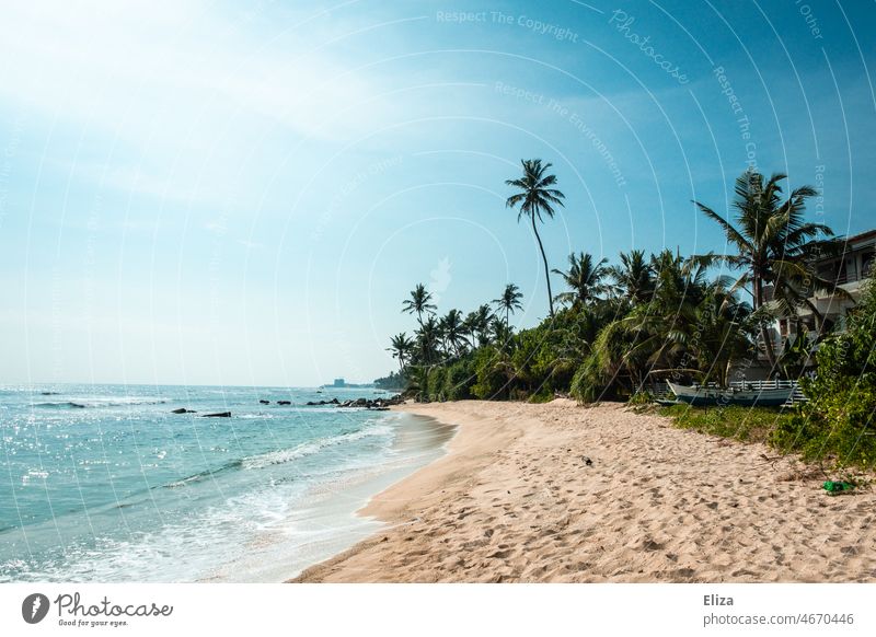 Palm trees, beach and sea. Vacation mood in the tropics. Beach Ocean palms vacation Paradise Tropical Water Nature Summer Exotic Sandy beach Empty Lonely coast