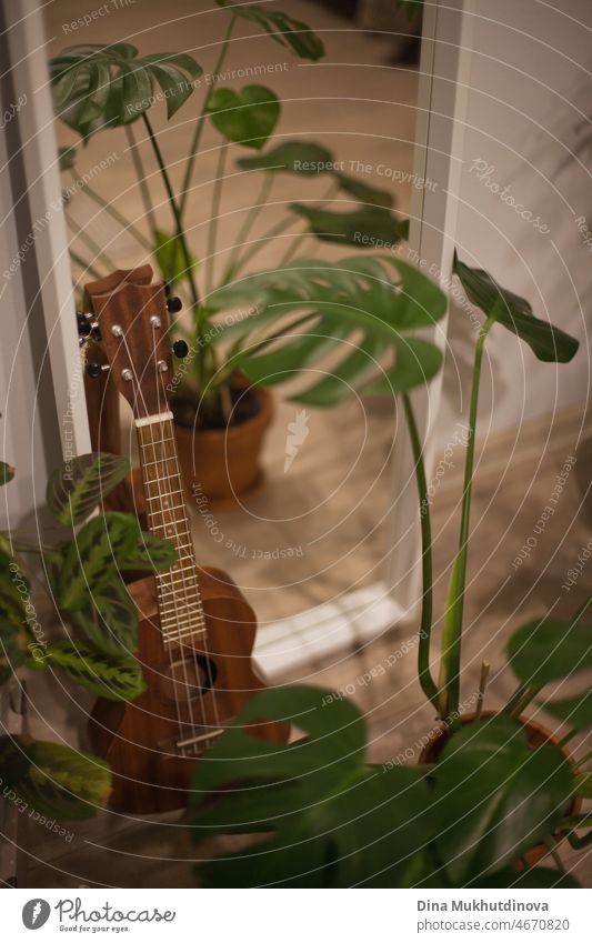 Ukulele at home with green plants standing near mirror, cozy green urban jungle style home apartment. Small hawaiian guitar musical instrument and green potted plants at home