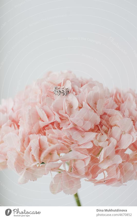 Silver ring on pink hydrangea flower bouquet with cope space on top, romantic Valentine's Day card. Ring for engagement and marriage, romantic surprise gesture of giving ring and flowers, minimalist greeting card.