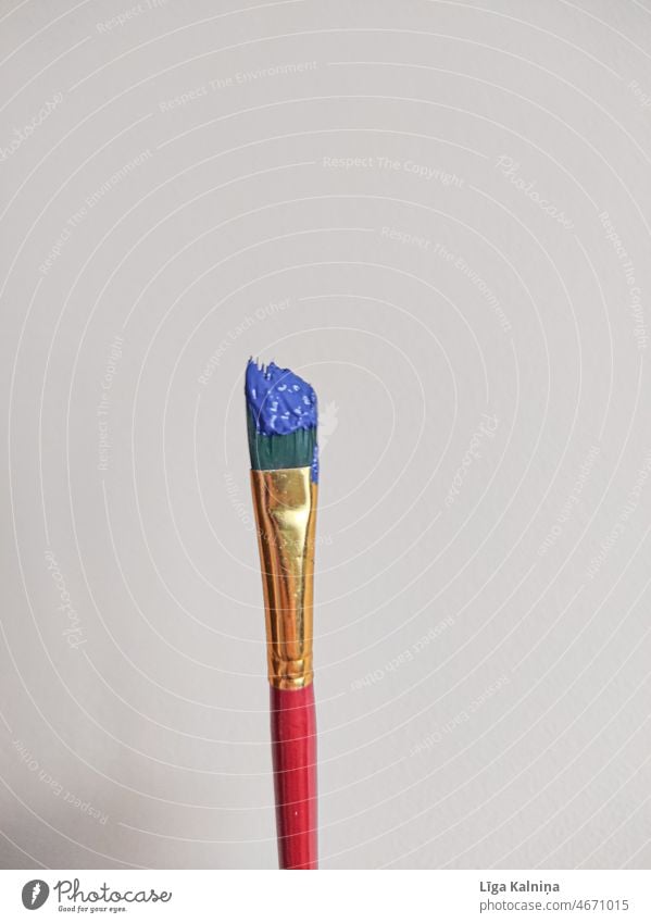 Paintbrush with blue color on it Colour Craft (trade) Painting (action, work) watercolour box Leisure and hobbies White Artist Redecorate Multicoloured
