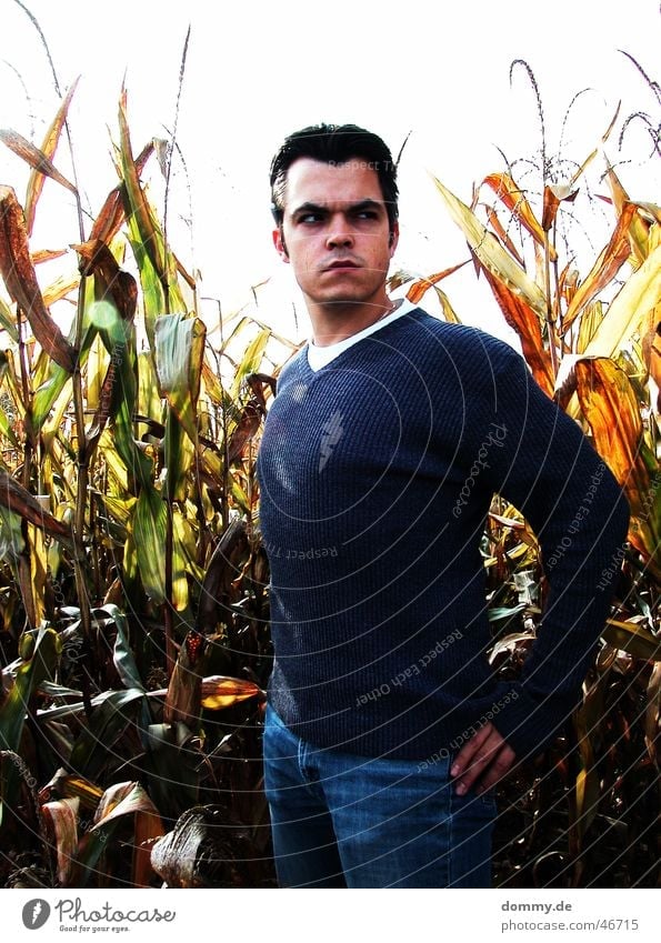 when the farmer comes Man Stand T-shirt Sweater Field Light Evil Imply Ferocious Farmer Thomas dommy Nose Mouth Eyes Ear Looking Hair and hairstyles Maize