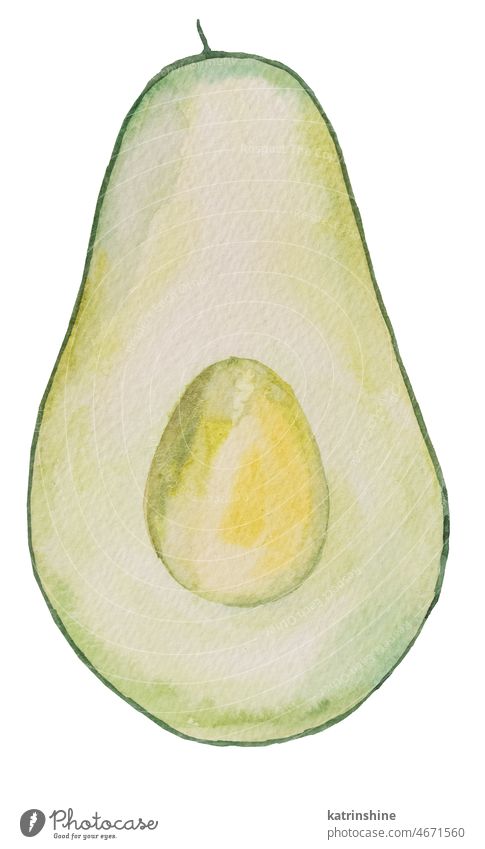 Half green juicy avocado. Watercolor tropical fruit illustration Botanical Cut Decoration Element Exotic Hand drawn Healthy Ingredient Isolated Ripe Summer