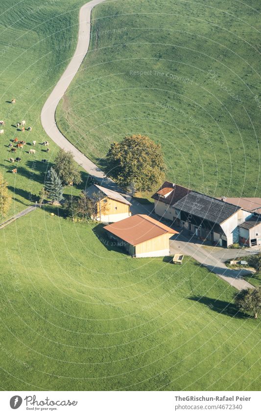 Farm from above in sunlight Courtyard houses from on high dwell farming Willow tree cows Meadow Street country Landscape Switzerland