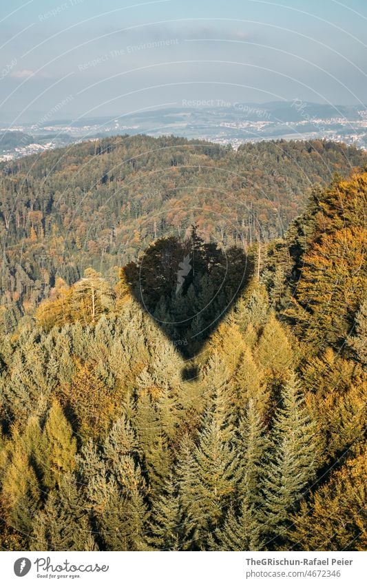Hot air baloon shadow in forest Shadow Forest hot-air balloon Shadow play Village Aerial photograph from on high Hover