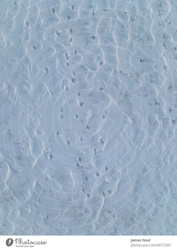 Deep animal tracks in the snow color imprints day background above covering outside scenic temperature outdoors environment elevated view white landscape winter