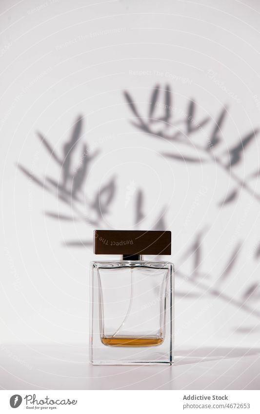 Perfume bottle with essence placed on white table transparent perfume plant fragile glass leaf branch product liquid smell spray fragrance fragrant cologne