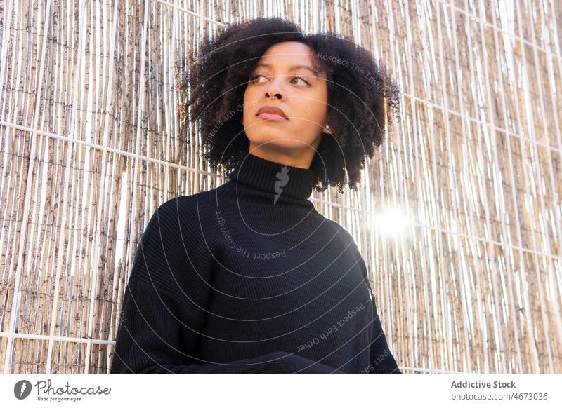 Dreamy black woman near bamboo wall street fencing style appearance feminine straw barrier female curly hair african american black hair turtleneck charming
