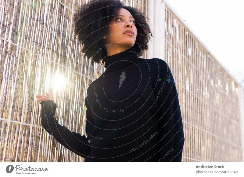 Dreamy black woman near bamboo wall street fencing style appearance feminine straw barrier female curly hair african american black hair turtleneck charming