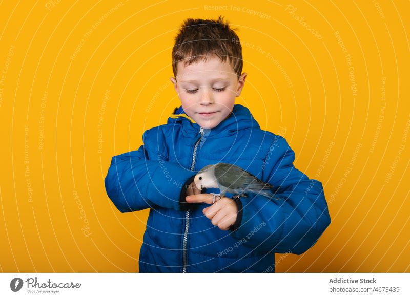 Boy in outerwear with parrot boy lovebird owner pet loyal arm finger child colorful bright kid childhood raincoat adorable casual short hair vivid vibrant