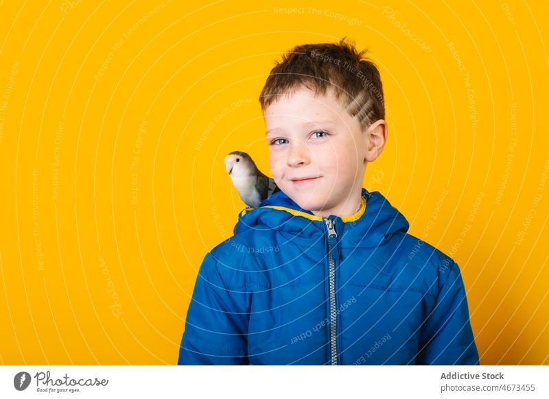 Boy in outerwear with parrot boy lovebird owner pet loyal child colorful bright kid childhood raincoat adorable casual short hair vivid vibrant agapornis animal