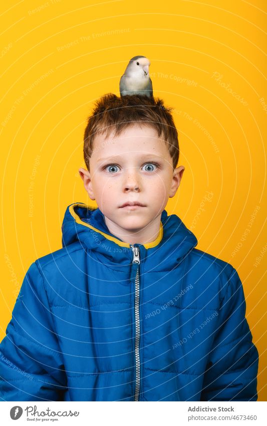 Astonished child with parrot looking at camera boy lovebird owner pet astonish outerwear loyal colorful bright kid childhood blue eyes shock raincoat adorable