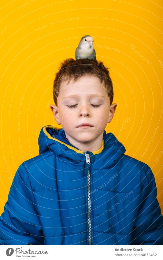 Boy in outerwear with parrot boy lovebird owner pet head loyal child colorful bright kid closed eyes childhood raincoat adorable casual short hair vivid vibrant