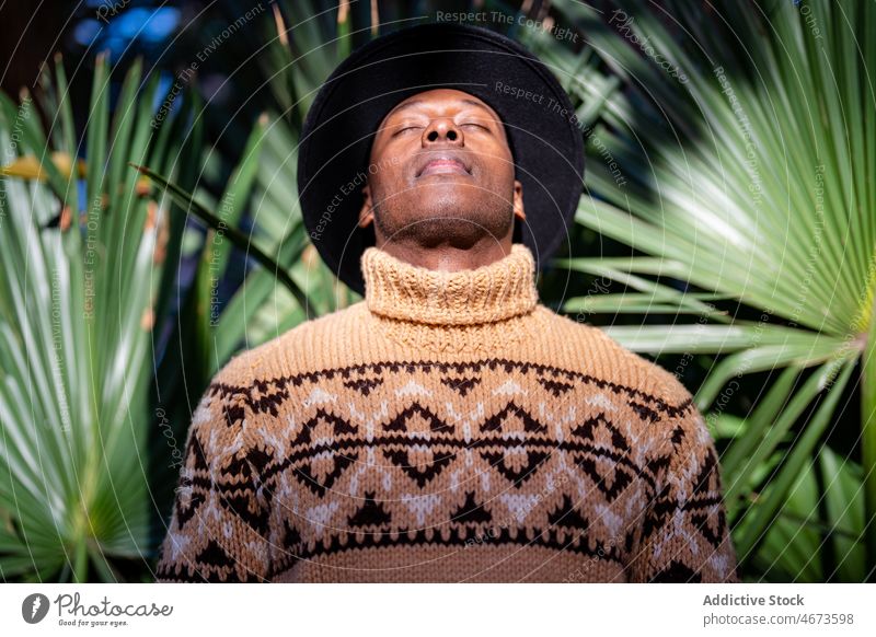 Relaxing black man in hat standing with closed eyes palm relax eyes closed appearance sun rest park green enjoy nature portrait tropical tree positive exotic