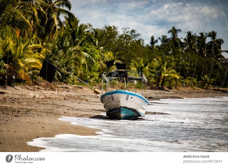 Boat on shore with trees boat vessel shabby coast sea water beach forest tropical plant nature riverside environment summer ripple aqua lush vegetate costa rica