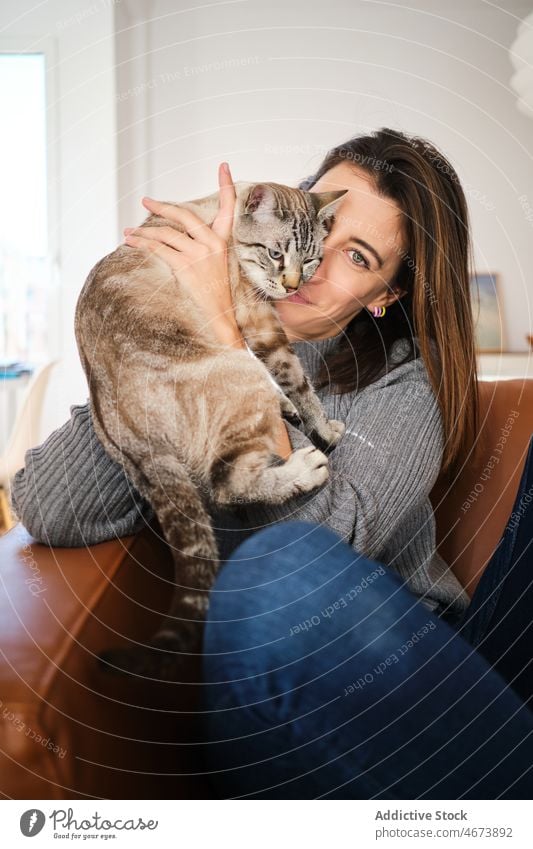 Woman playing with cat on couch woman caress pet animal owner cuddle stroke domestic feline creature cute adorable loyal home light mammal living room friend
