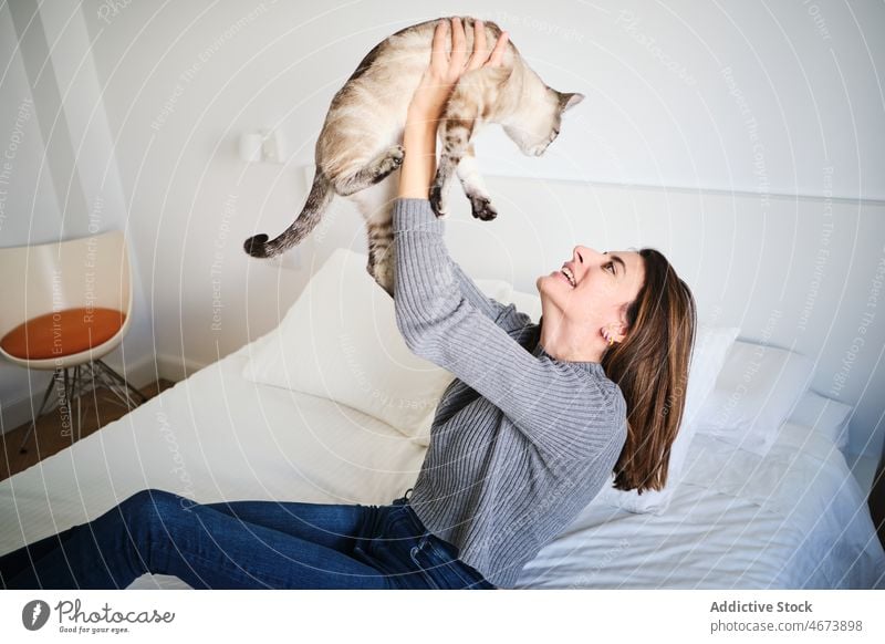 Cheerful woman stroking cat on bed caress stroke cuddle bedroom pet animal domestic feline owner creature cute adorable home light mammal style gray positive