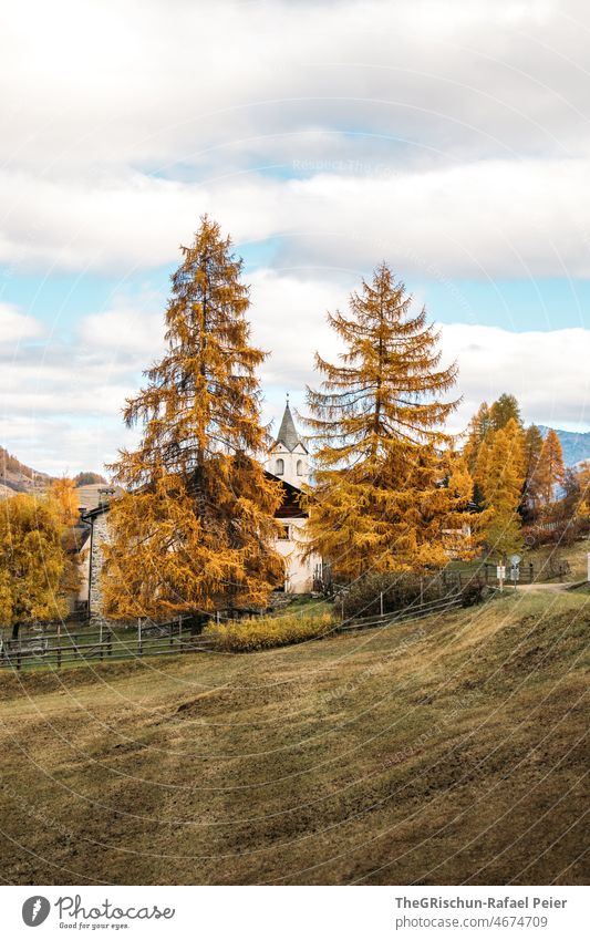 Larks in autumn in front of Engadin village Meadow Forest Village Scuol Church skylark Autumn Colour photo Deserted Mountain Landscape Nature Exterior shot Sky