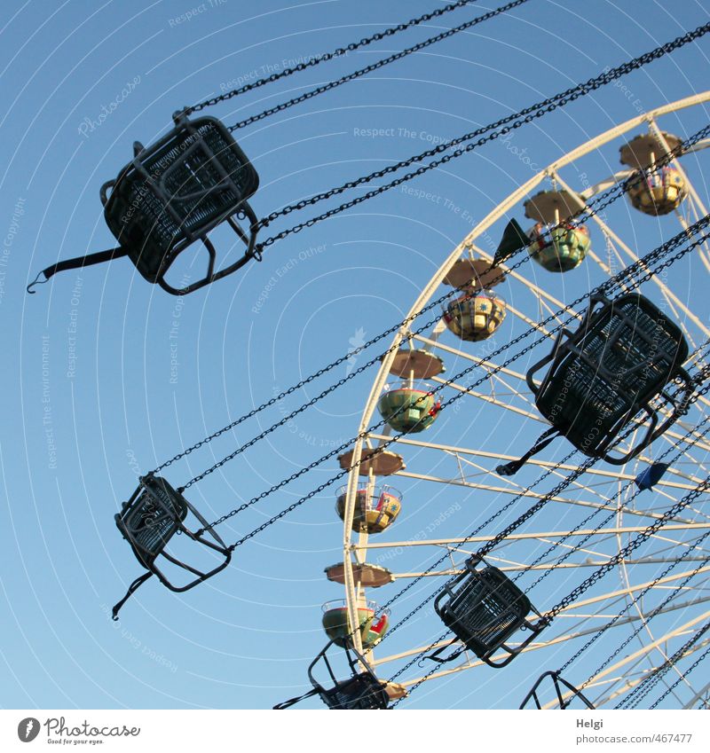 Fun society's going around. Leisure and hobbies Carousel Chairoplane Ferris wheel Adventure Summer Oktoberfest Fairs & Carnivals Movement Rotate Driving Hang