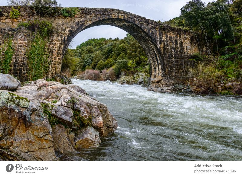Arched bridge over fast river arched shabby old water riverside nature tree extremadura shore waterfront spain scenic wild summer green environment scenery
