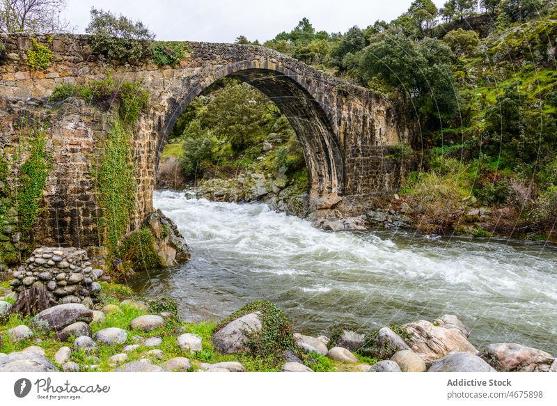 Arched bridge over fast river arched shabby old water riverside nature tree extremadura shore waterfront spain scenic wild summer green environment scenery
