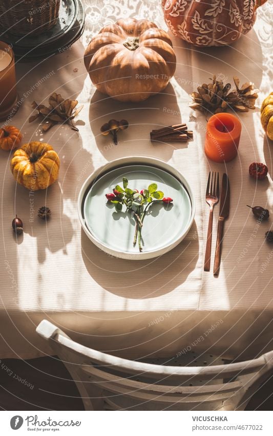 Autumn table setting with blue plate, pumpkins and decoration at kitchen table autumn chair sunlight vintage interior cozy time home october top view