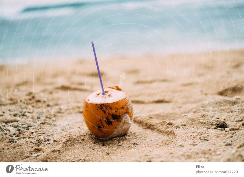 Drinking coconut on beach Coconut Beverage King coconut Beach Ocean vacation Vacation mood tropics Asia Summer Tropical beach holiday straw