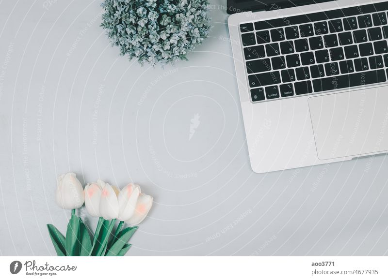 computer laptop and flower on desk.flat lay with copy space. business office modern blank keyboard work technology desktop white workspace workplace notebook