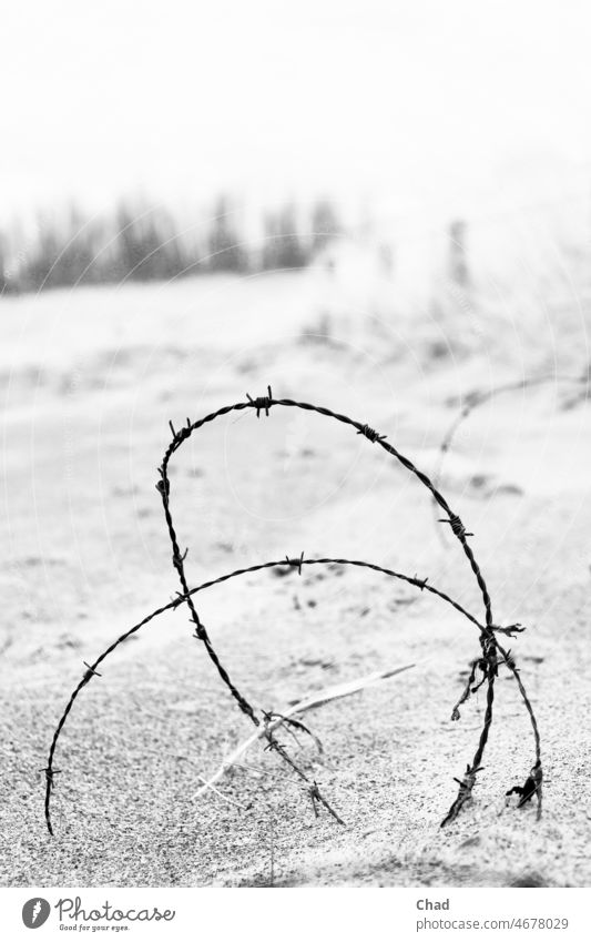Barbed wire on the beach Thorn Wire Border Fear violation Black & white photo black and white Circle Spiral Sand duene Contrast depression Fence demarcation