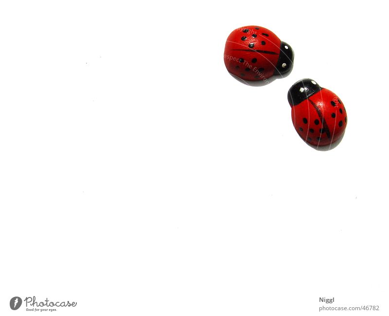 a bugs life Ladybird Wooden figure Red Black White Point niggl In pairs Pair of animals