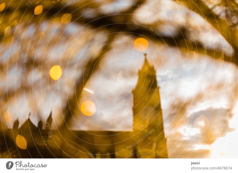 Cathedral in glittering light Dome sparkle Glitter Glittering Decoration blurriness Church spire Building Belief Architecture Tourist Attraction Town Old town
