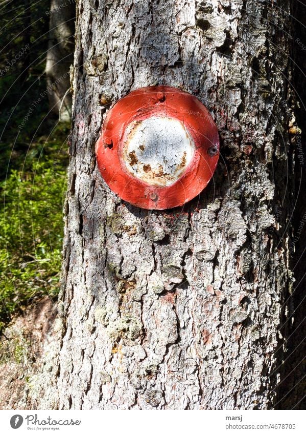 No driving ban, no hiking sign. Nevertheless nailed to a tree on a hiking trail. Clue Signage Groundbreaking Lanes & trails Vacation & Travel Red-white-red