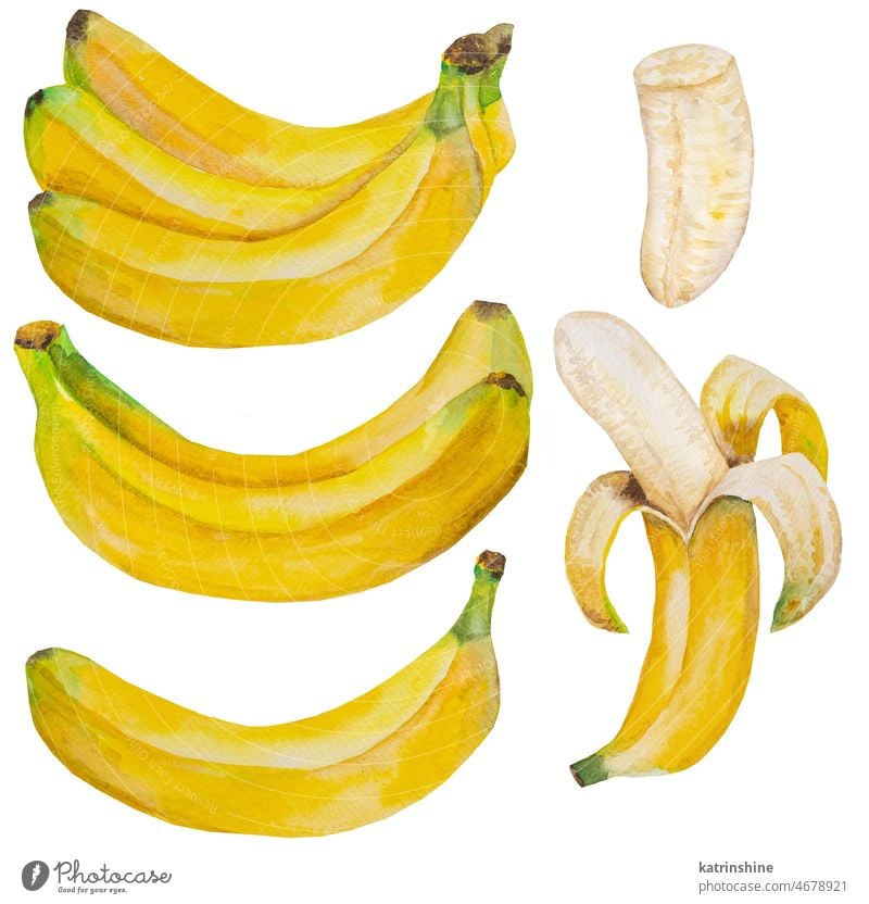 Watercolor yellow ripe bananas. Whole and half banana tropical fruit illustration Botanical Cut Decoration Element Exotic Hand drawn Healthy Ingredient Isolated